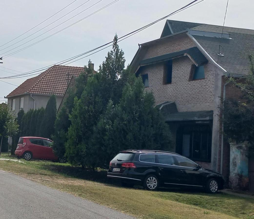 Kod Velikih Tuja Melenci Exterior foto